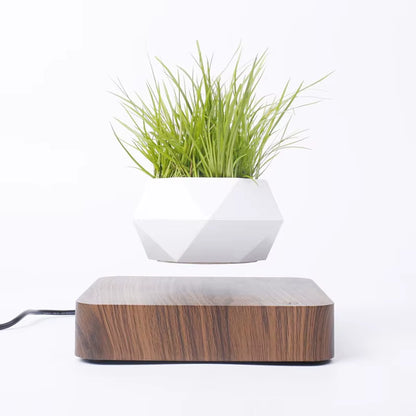 Fast Shipping Magnetic Suspension Flower Pot Levitating Air Bonsai Plant Succulent Patio Decoration Desktop Christmas Gift