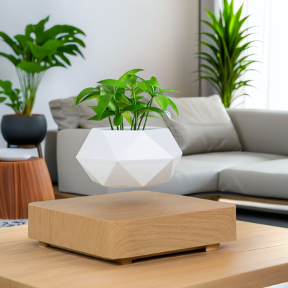 Levitating Planter